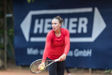 Bild 544 - BL DTV Hannover - BW Dresden Blasewitz : Ergebnis: 2:7